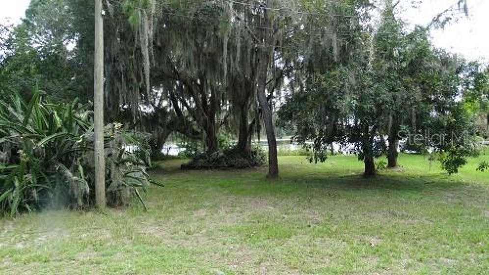 9444 LAKE HICKORY NUT DRIVE, WINTER GARDEN, Florida 34787, ,Land,For Sale,LAKE HICKORY NUT,O5957916