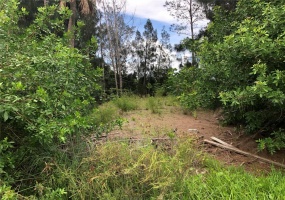 BANANA RIVER DR, MERRITT ISLAND, Florida 32952, ,Land,For Sale,BANANA RIVER DR,O5959011