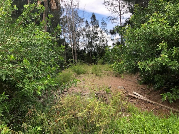 BANANA RIVER DR, MERRITT ISLAND, Florida 32952, ,Land,For Sale,BANANA RIVER DR,O5959011
