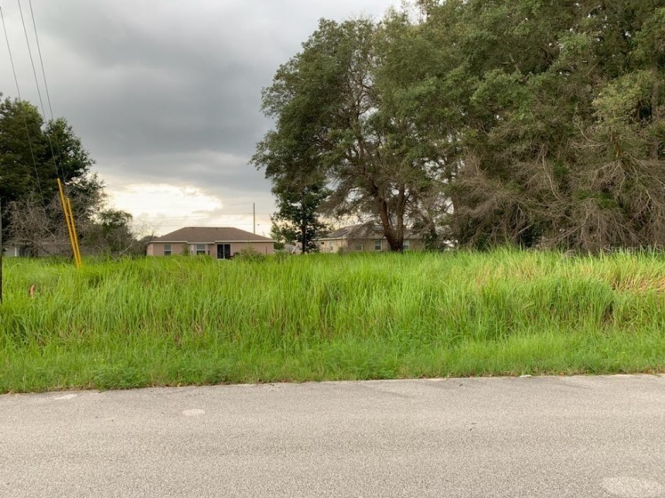 6 PINE TRACE LOOP, OCALA, Florida 34472, ,Land,For Sale,PINE TRACE,OM623480