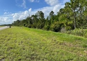 SAINT CLOUD, Florida 34771, ,Land,For Sale,O5959358