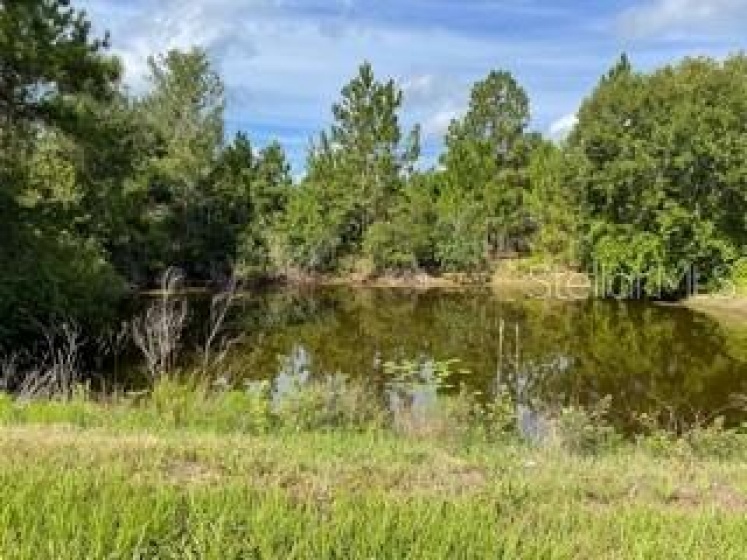 SAINT CLOUD, Florida 34771, ,Land,For Sale,O5959358