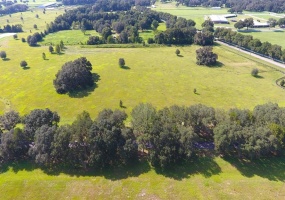 OCALA, Florida 34480, ,Land,For Sale,OM623841