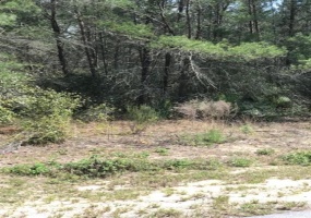 131ST LANE, OCALA, Florida 34473, ,Land,For Sale,131ST LANE,OM623914
