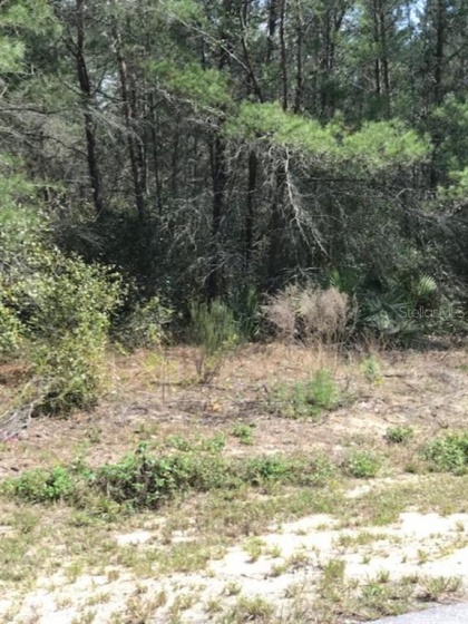 131ST LANE, OCALA, Florida 34473, ,Land,For Sale,131ST LANE,OM623914