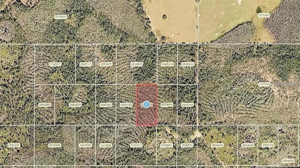 0 CALVIN LEE ROAD, CLERMONT, Florida 34714, ,Land,For Sale,CALVIN LEE,O5958624