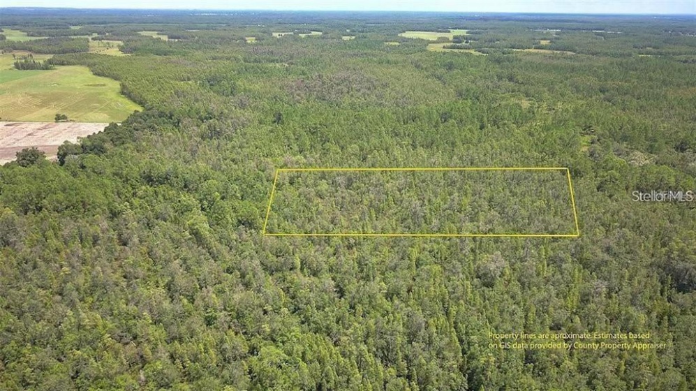 0 CALVIN LEE ROAD, CLERMONT, Florida 34714, ,Land,For Sale,CALVIN LEE,O5958624