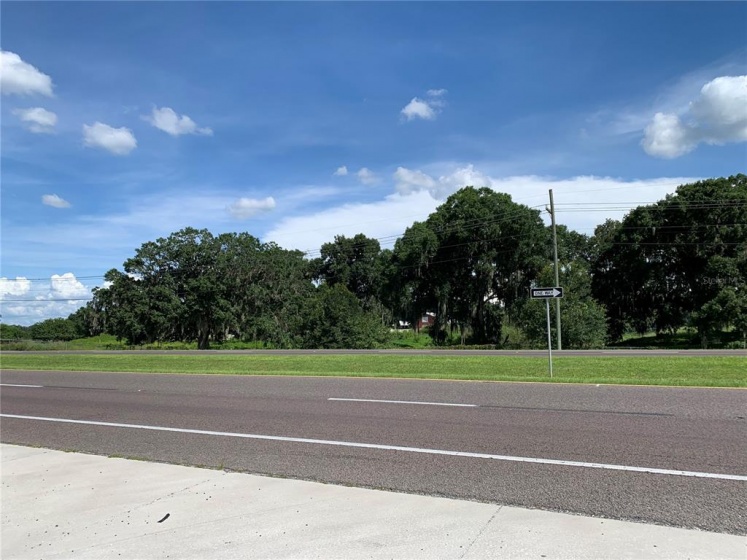 HWY 60, BARTOW, Florida 33830, ,Land,For Sale,HWY 60,L4924235