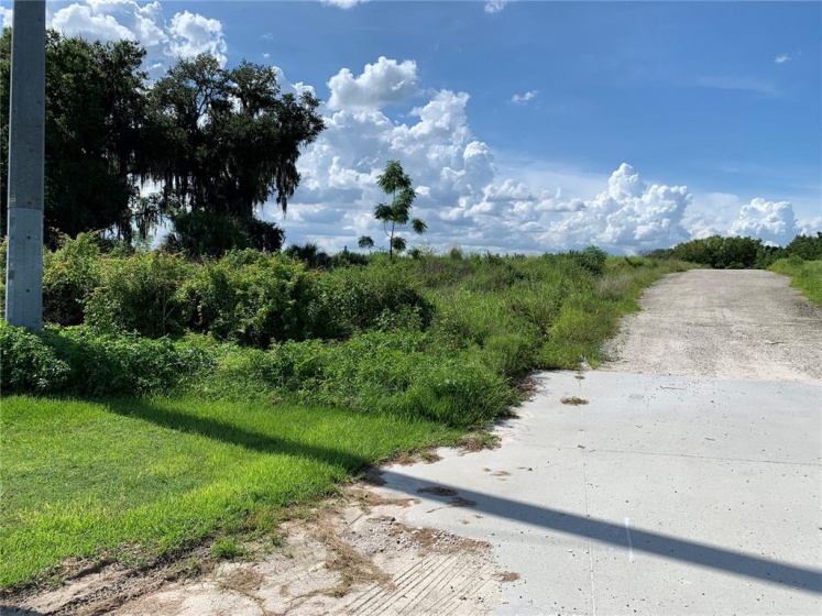 HWY 60, BARTOW, Florida 33830, ,Land,For Sale,HWY 60,L4924235