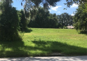 CLUSTER OAK DRIVE, CLERMONT, Florida 34711, ,Land,For Sale,CLUSTER OAK,O5961564