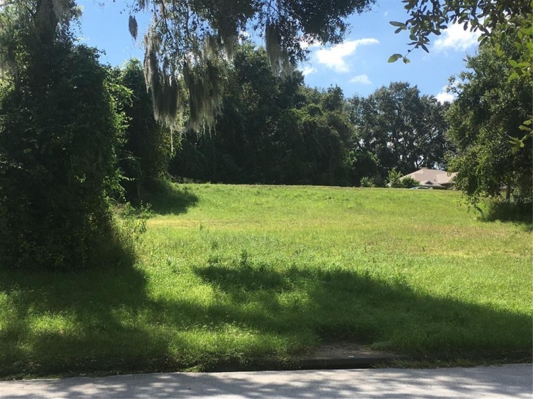 CLUSTER OAK DRIVE, CLERMONT, Florida 34711, ,Land,For Sale,CLUSTER OAK,O5961564