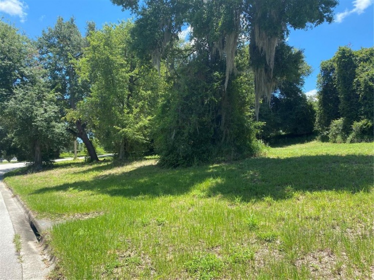 CLUSTER OAK DRIVE, CLERMONT, Florida 34711, ,Land,For Sale,CLUSTER OAK,O5961564
