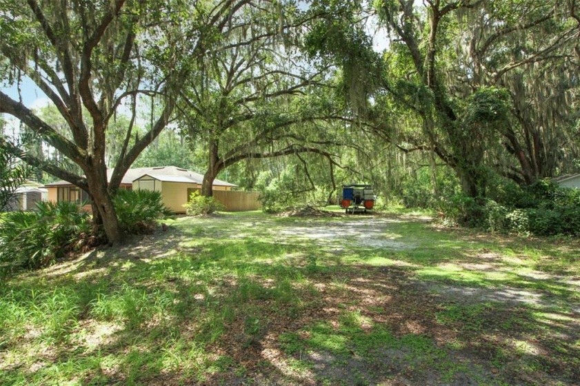 BROWNS CANAL DRIVE, CLERMONT, Florida 34711, ,Land,For Sale,BROWNS CANAL,O5961597