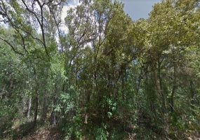 LOCUST LOOP, OCALA, Florida 34472, ,Land,For Sale,LOCUST LOOP,O5962556