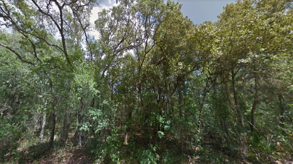 LOCUST LOOP, OCALA, Florida 34472, ,Land,For Sale,LOCUST LOOP,O5962556