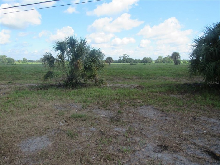 STATE ROAD 60, BARTOW, Florida 33830, ,Land,For Sale,STATE ROAD 60,T3321635