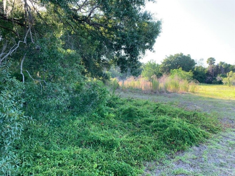 4601 LOCKWOOD RIDGE ROAD, SARASOTA, Florida 34234, ,Land,For Sale,LOCKWOOD RIDGE,U8132265