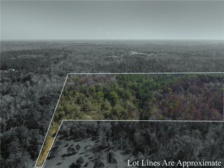 PAWNEE TRAIL, KISSIMMEE, Florida 34747, ,Land,For Sale,PAWNEE,O5920668