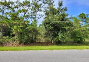 Lot 233 QUARTERLY PARKWAY, ORLANDO, Florida 32833, ,Land,For Sale,QUARTERLY,O5965223
