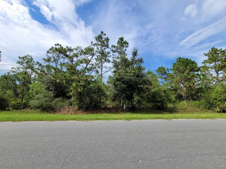 Lot 233 QUARTERLY PARKWAY, ORLANDO, Florida 32833, ,Land,For Sale,QUARTERLY,O5965223