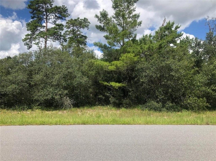 16263 48TH CIRCLE, OCALA, Florida 34473, 3 Bedrooms Bedrooms, ,2 BathroomsBathrooms,Residential,For Sale,48TH,O5965140