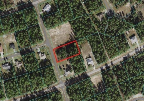 0 35TH AVENUE ROAD, OCALA, Florida 34473, ,Land,For Sale,35TH AVENUE,OM625617