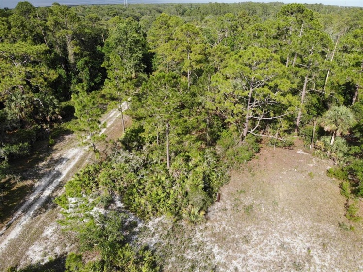 none N/A, DAVENPORT, Florida 33896, ,Land,For Sale,N/A,O5965161