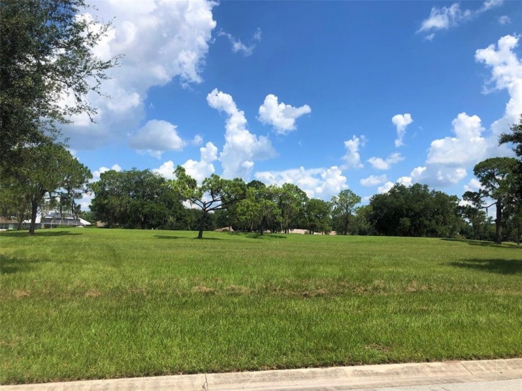 PALMA CEIA CIRCLE, WINTER HAVEN, Florida 33884, ,Land,For Sale,PALMA CEIA,P4917130