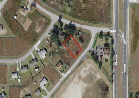 POPLAR TRAIL, OCALA, Florida 34480, ,Land,For Sale,POPLAR,OM625906