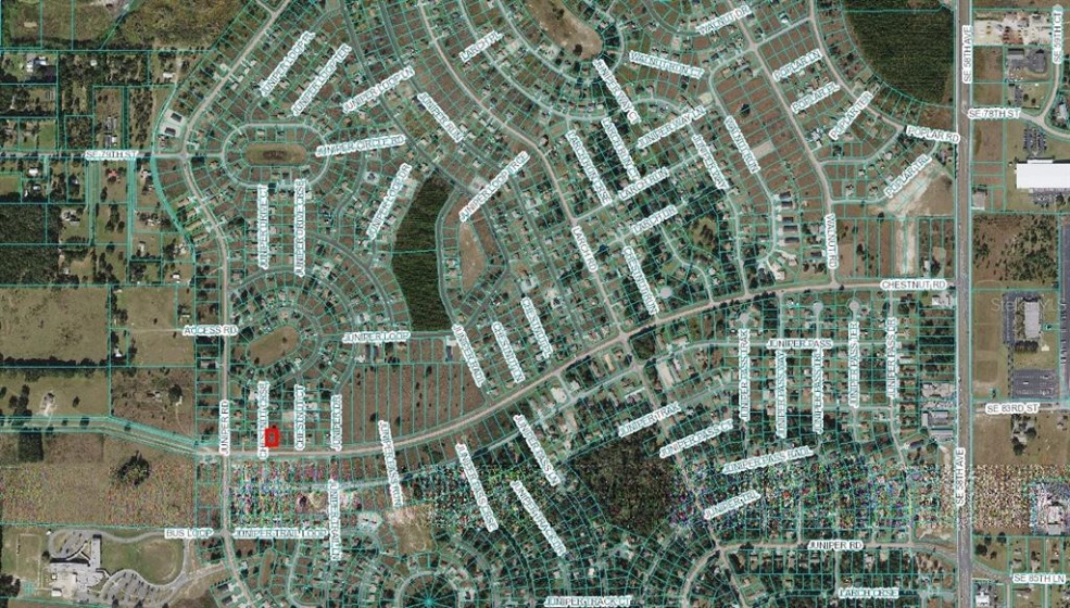 OCALA, Florida 34480, ,Land,For Sale,OM625908