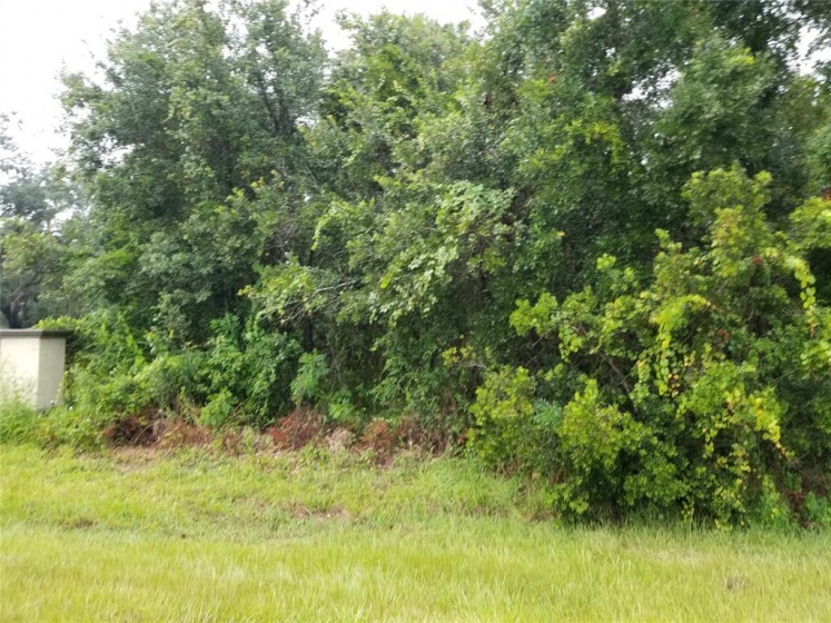 ORANGE BLOSSOM TRAIL, KISSIMMEE, Florida 34746, ,Land,For Sale,ORANGE BLOSSOM,S5055401