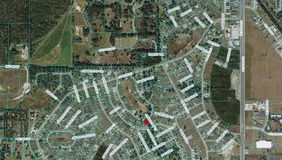 JUNIPER LOOP CIRCLE, OCALA, Florida 34480, ,Land,For Sale,JUNIPER LOOP,OM625919