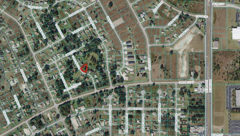 CHESTNUT DRIVE, OCALA, Florida 34480, ,Land,For Sale,CHESTNUT,OM625920