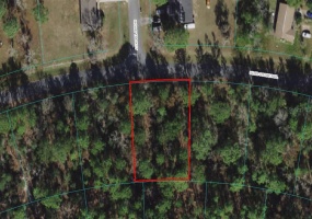 SILVER COURSE RADIAL, OCALA, Florida 34472, ,Land,For Sale,SILVER COURSE,OM626066