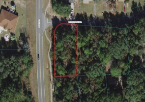 SILVER COURSE RADIAL, OCALA, Florida 34480, ,Land,For Sale,SILVER COURSE,OM626062