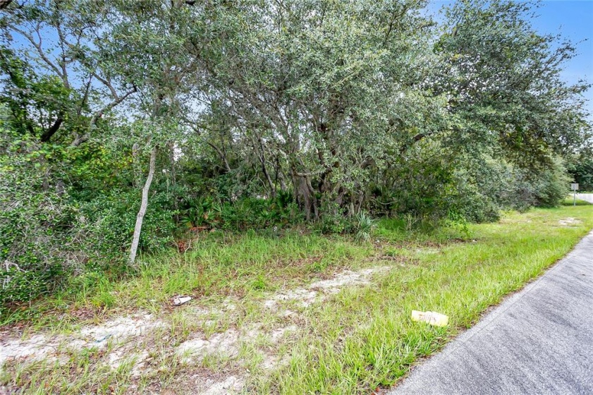 111 WARMOUTH LANE, POINCIANA, Florida 34759, ,Land,For Sale,WARMOUTH,O5971443