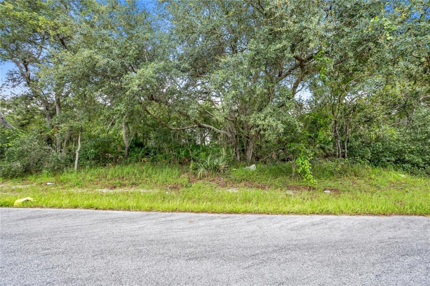 111 WARMOUTH LANE, POINCIANA, Florida 34759, ,Land,For Sale,WARMOUTH,O5971443