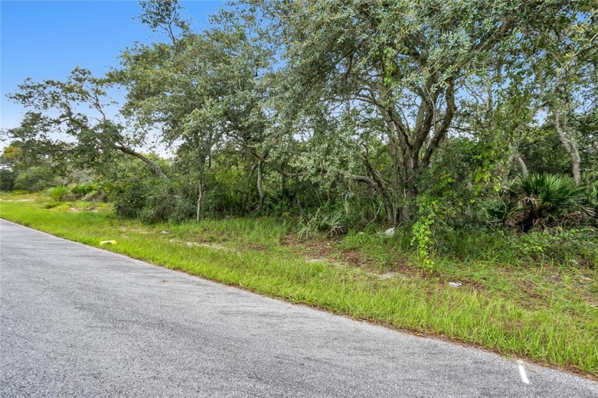 111 WARMOUTH LANE, POINCIANA, Florida 34759, ,Land,For Sale,WARMOUTH,O5971443