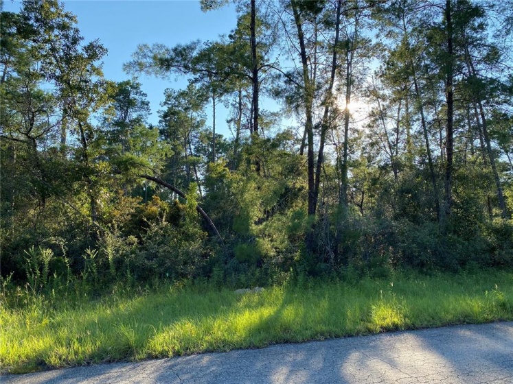 TBD 35TH TERRACE, OCALA, Florida 34473, ,Land,For Sale,35TH,OM626706
