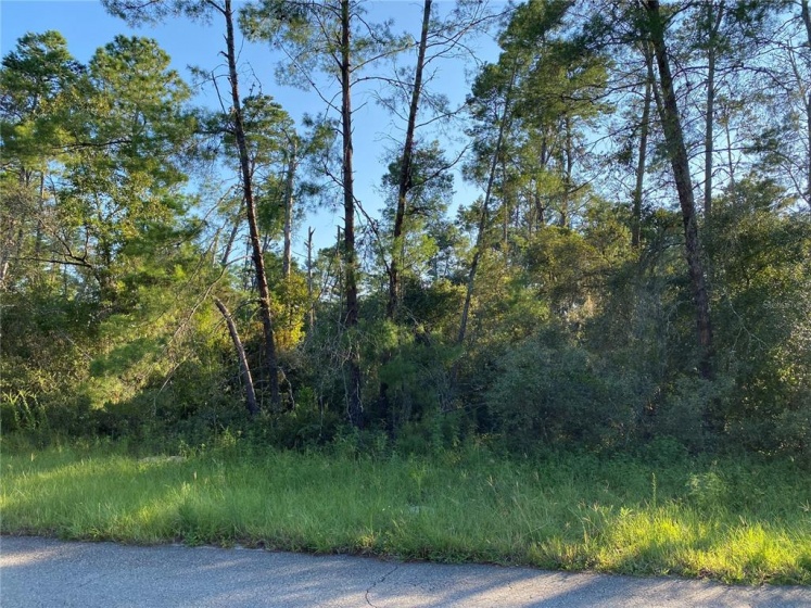 TBD 35TH TERRACE, OCALA, Florida 34473, ,Land,For Sale,35TH,OM626706