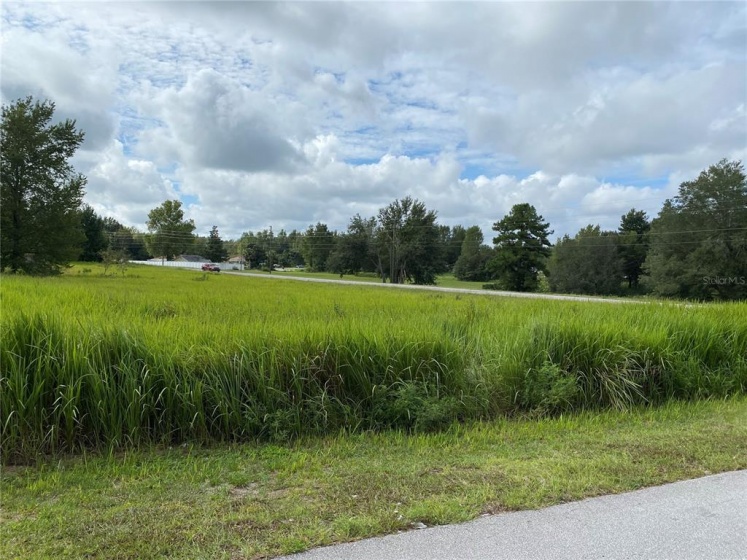 0 Pine Circle PINE RD, OCALA, Florida 34472, ,Land,For Sale,PINE RD,OM626763