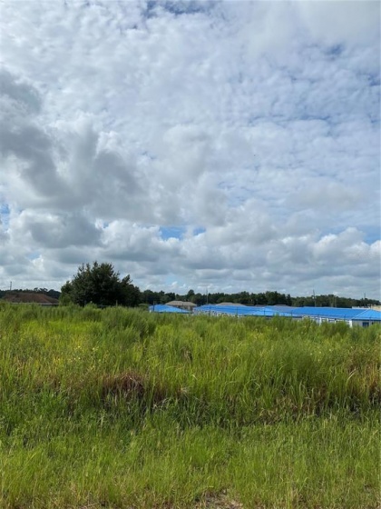 00 DOGWOOD TRAIL CRSE, OCALA, Florida 34472, ,Land,For Sale,DOGWOOD TRAIL CRSE,OM626773