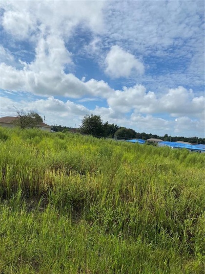 00 DOGWOOD TRAIL CRSE, OCALA, Florida 34472, ,Land,For Sale,DOGWOOD TRAIL CRSE,OM626773