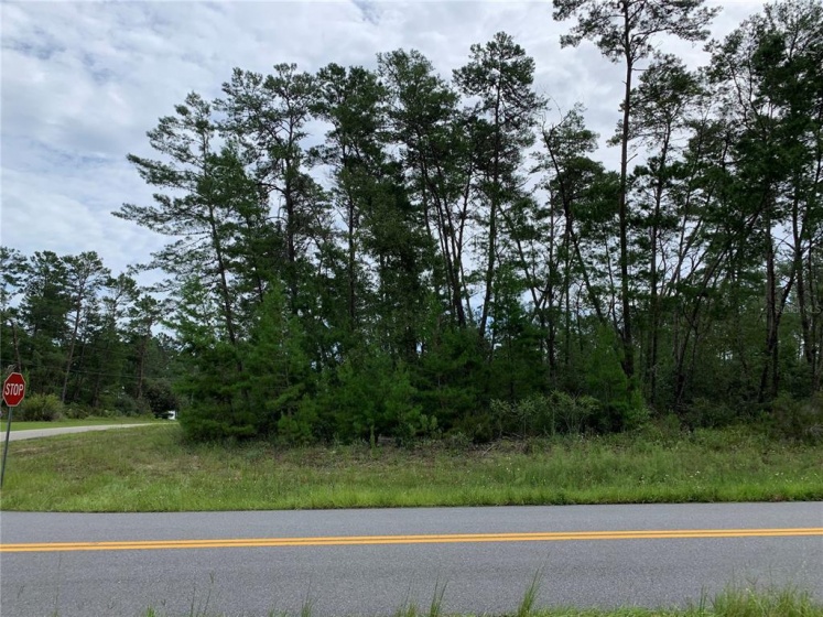 0 MARION OAKS LANE, OCALA, Florida 34473, ,Land,For Sale,MARION OAKS,OM626816