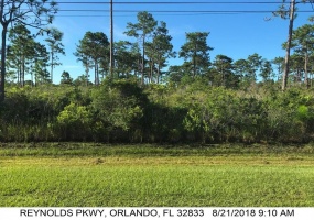 0 REYNOLDS PARKWAY, ORLANDO, Florida 32833, ,Land,For Sale,REYNOLDS,O5972409