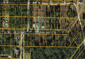Lot 19 SW 38TH ST ROAD, OCALA, Florida 34481, ,Land,For Sale,SW 38TH ST ROAD,N6117502