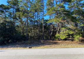 153RD LANE ROAD, OCALA, Florida 34473, ,Land,For Sale,153RD LANE,O5972528