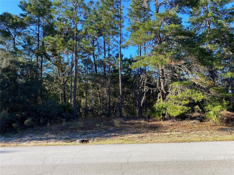 153RD LANE ROAD, OCALA, Florida 34473, ,Land,For Sale,153RD LANE,O5972528