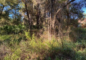 38TH ST ROAD, OCALA, Florida 34481, ,Land,For Sale,38TH ST,O5972540