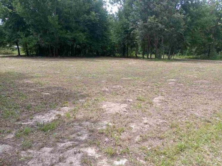 12TH PLACE, OCALA, Florida 34482, ,Land,For Sale,12TH,OM627006